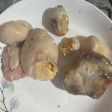 鸡宝大量有货产地直发一手货源服务周到欢迎购买