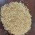 金乡大蒜酥大量有货基地直供量大品质优可视频看货