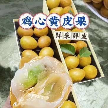 广西鸡心黄皮果当季新鲜现摘皮薄肉厚酸甜可口冷