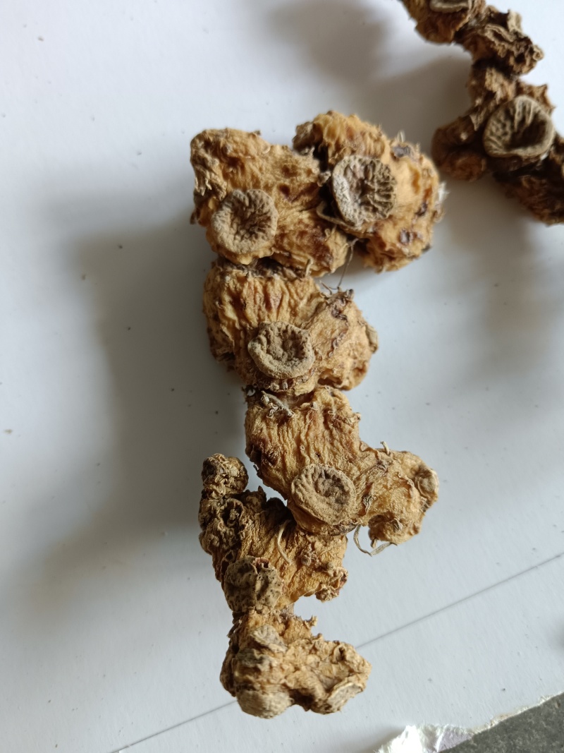 九华山野生黄精干货，一手货源，纯正野生下山货