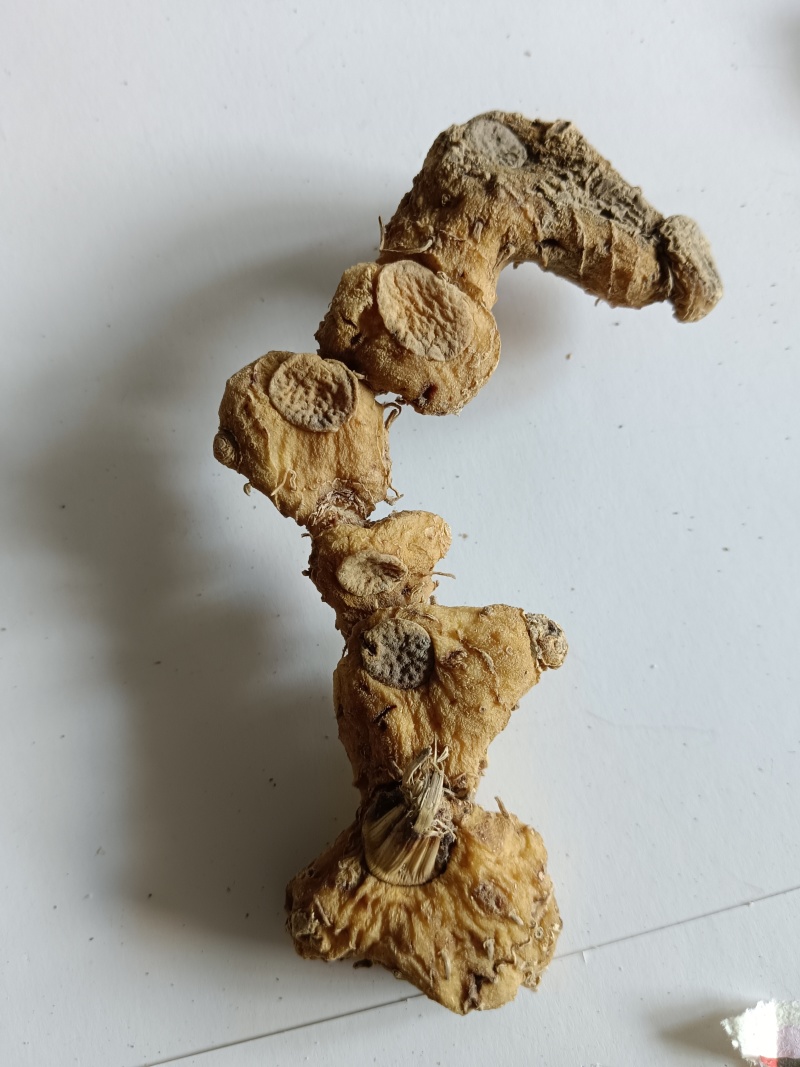 九华山野生黄精干货，一手货源，纯正野生下山货