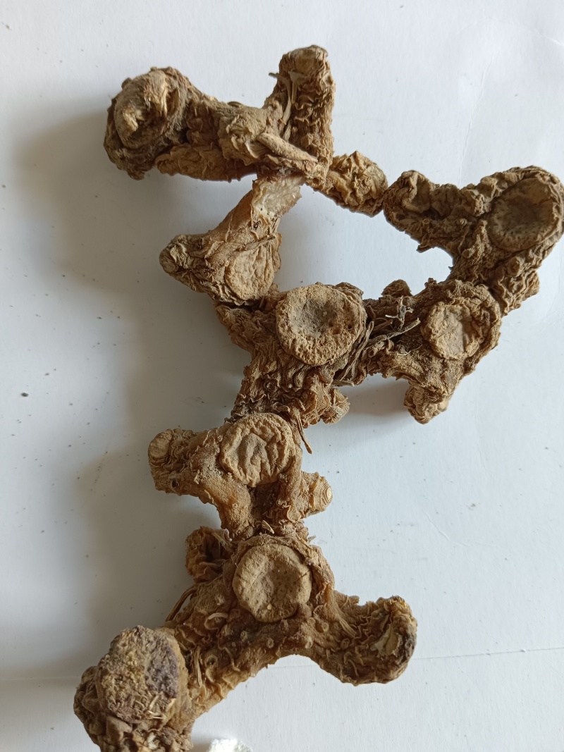 九华山野生黄精干货，一手货源，纯正野生下山货