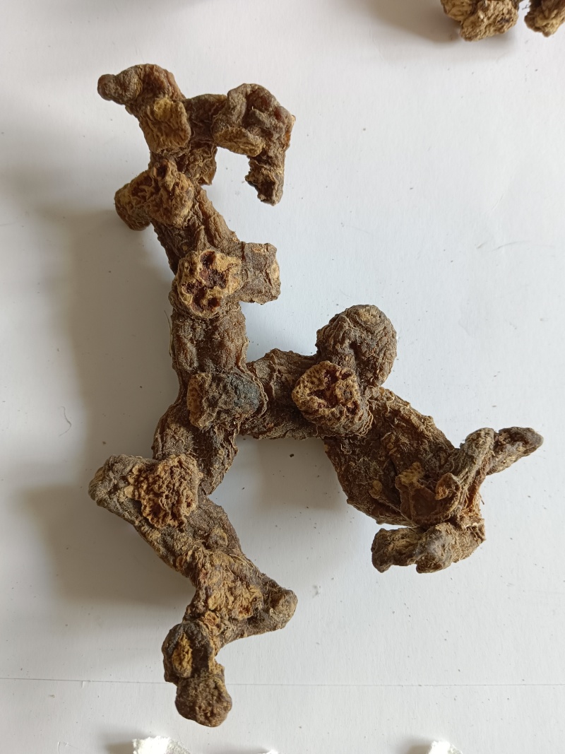 九华山野生黄精干货，一手货源，纯正野生下山货
