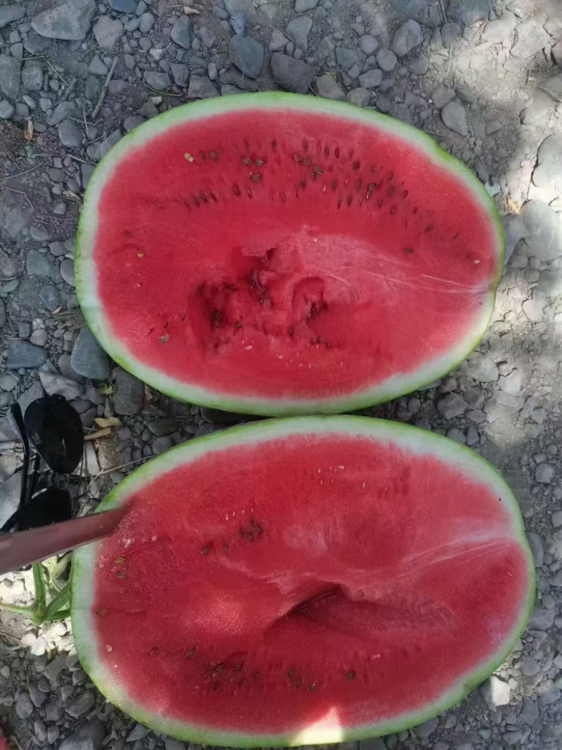 宁夏中卫硒砂瓜，石头瓜。一手货源，物美价廉。