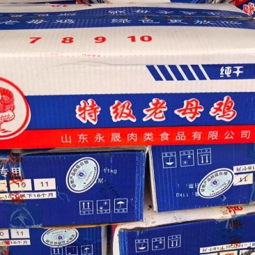 永晟老母鸡