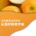 广西脆蜜金桔苗嫁接苗裸根苗杯苗种植基地苗圃批发树苗