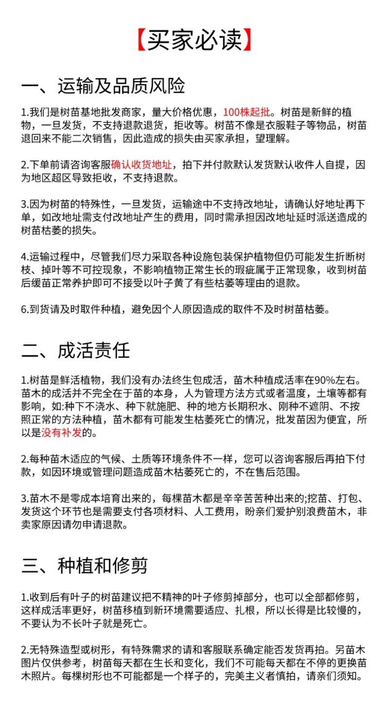 广西脆蜜金桔苗嫁接苗裸根苗杯苗种植基地苗圃批发树苗