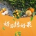 广西脆蜜金桔苗嫁接苗裸根苗杯苗种植基地苗圃批发树苗