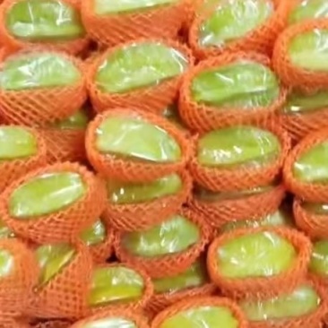 杨桃