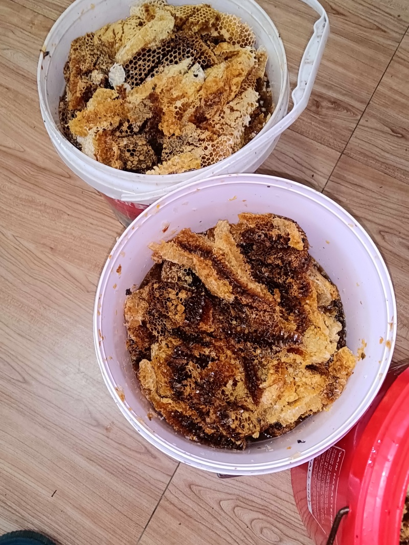 深山远离工厂生活区蜂蜜