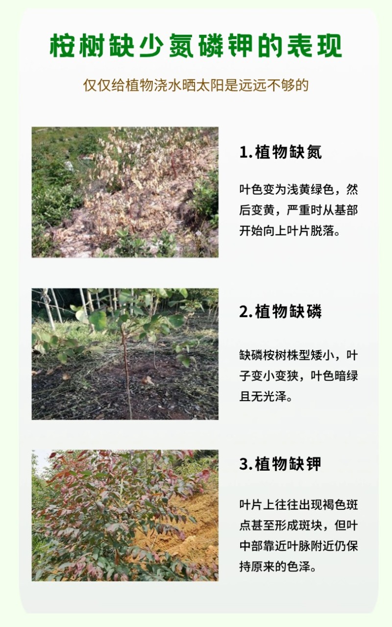 广西桉树肥有机无机复混肥30%含量15-5-10有机质肥