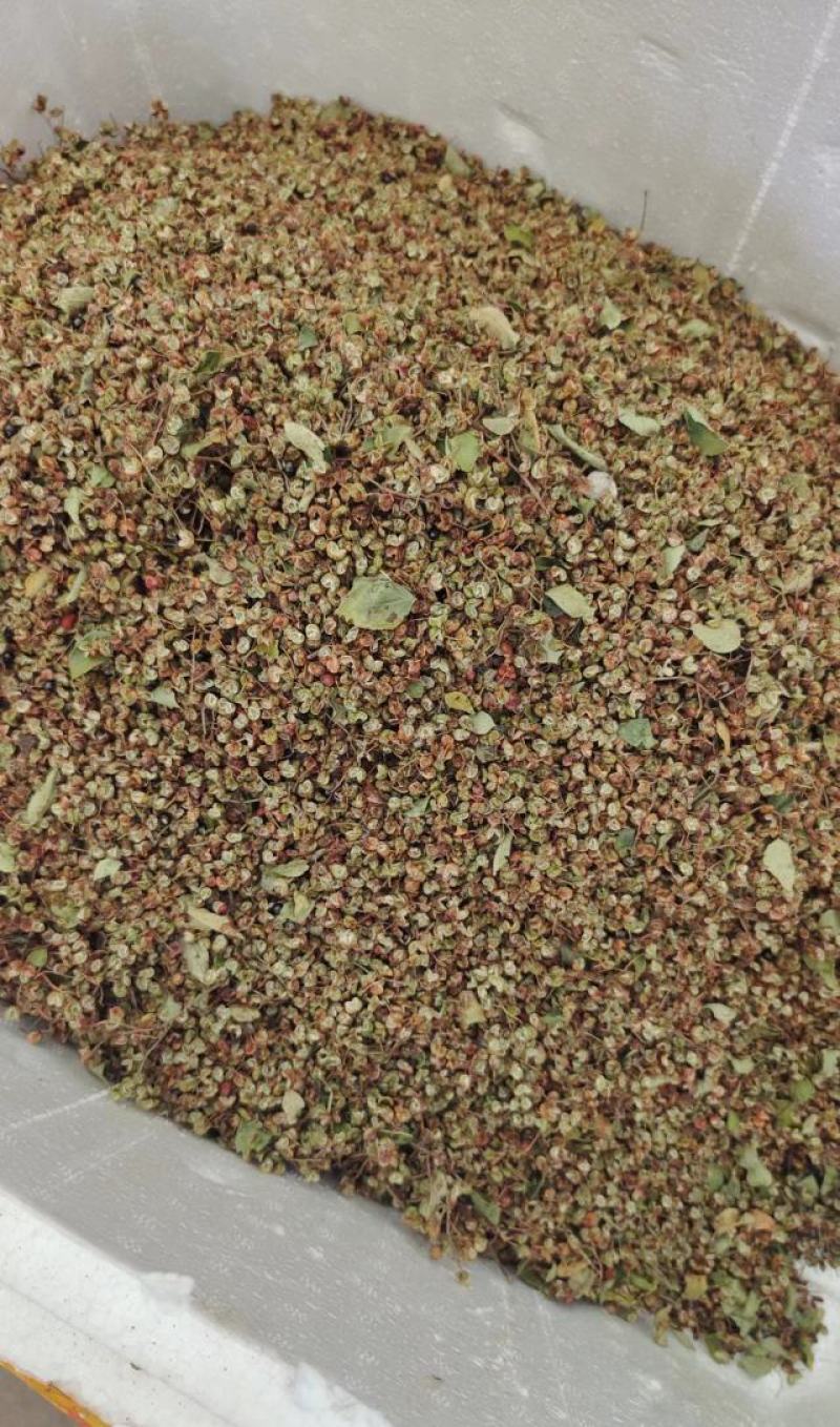 鲜花椒大量上市，产地直发，品质保证，服务周到，诚信经营