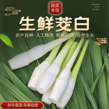 新鲜现摘农家高山茭白高笋时令蔬菜月子下奶茭瓜交白野生新鲜茭白