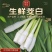 新鲜现摘农家高山茭白高笋时令蔬菜月子下奶茭瓜交白野生新鲜茭白