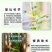 广西速生桉树肥16-6-8现货含硼锌广西肥料厂家批发30