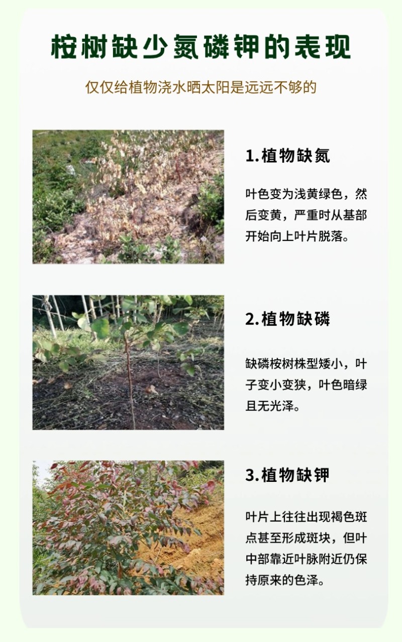 广西速生桉树肥16-6-8现货含硼锌广西肥料厂家批发30
