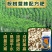 桉树肥18-6-12现货36%硼锌实标丰产桉树复合肥批发