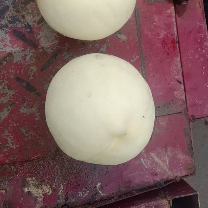 九号水蜜桃