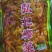 榨菜下饭菜涪陵榨菜地摊商用红油榨菜
