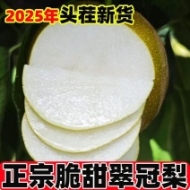【正宗翠冠梨】脆甜细嫩多汁现摘应季翠冠梨