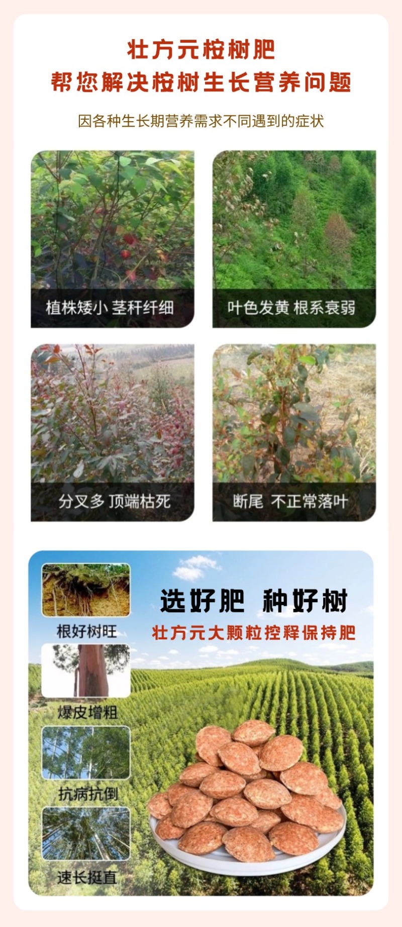 广西桉树大颗粒控释肥20-10-16高含量46%保水省工