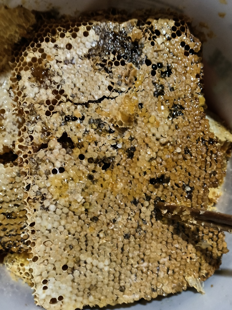 高品质土蜂蜜，冬蜜，十月割，