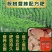 桉树懒人肥大颗粒缓释肥20-10-16含量46%厂家直供
