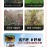 桉树懒人肥大颗粒缓释肥20-10-16含量46%厂家直供