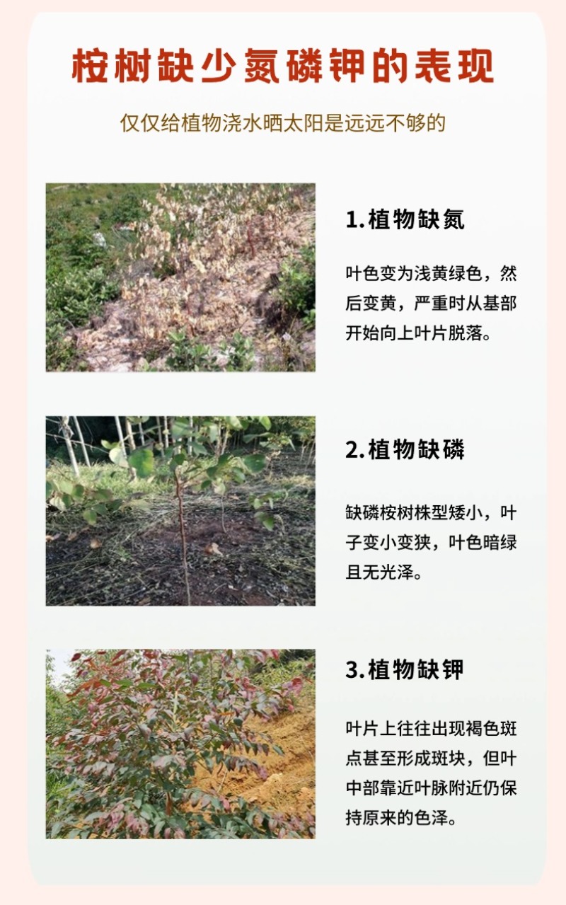 桉树懒人肥大颗粒缓释肥20-10-16含量46%厂家直供