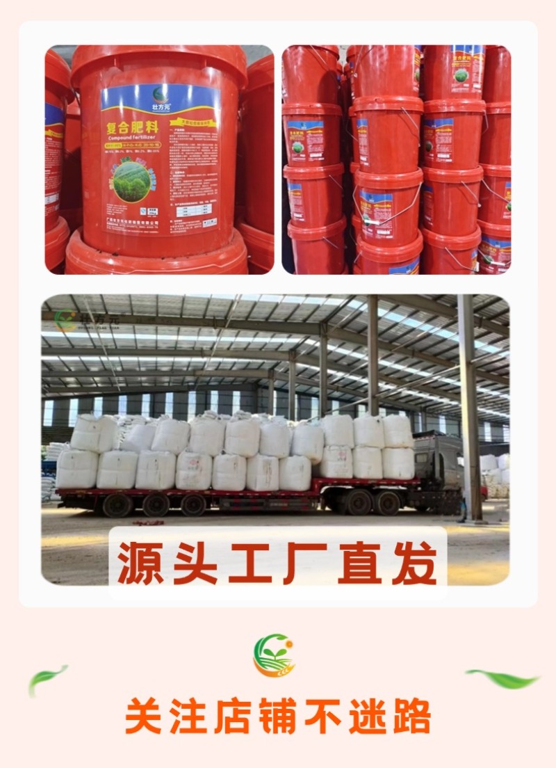 广西桉树大颗粒控释肥20-10-16桶肥速生桉树丰产肥料