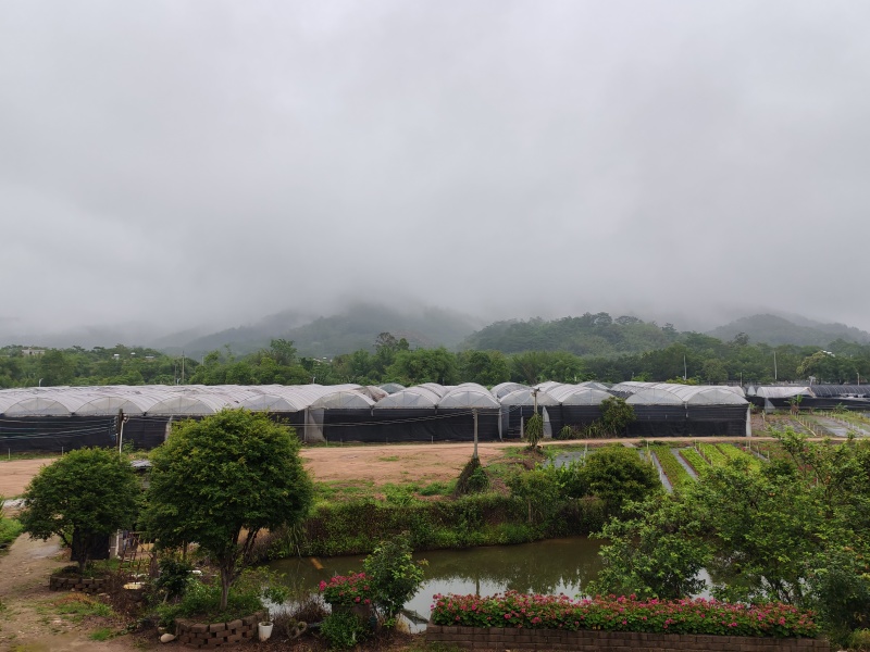 农场出租或转让，环境优美，水质一流，设施齐全，全部喷灌