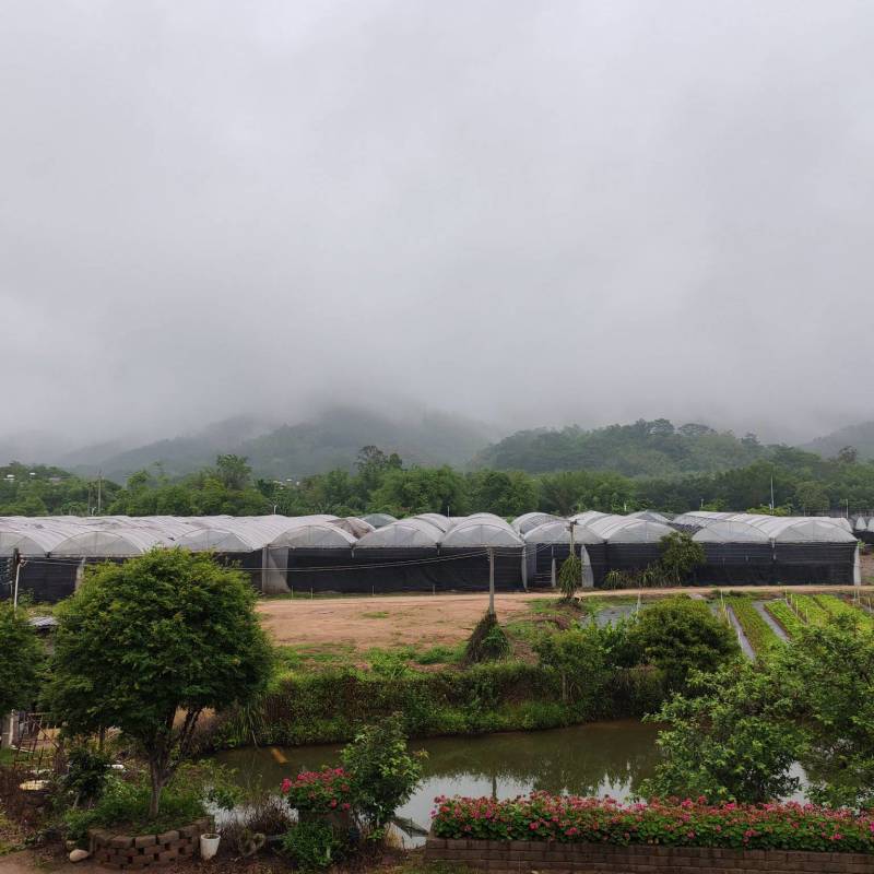 农场出租或转让，环境优美，水质一流，设施齐全，全部喷灌