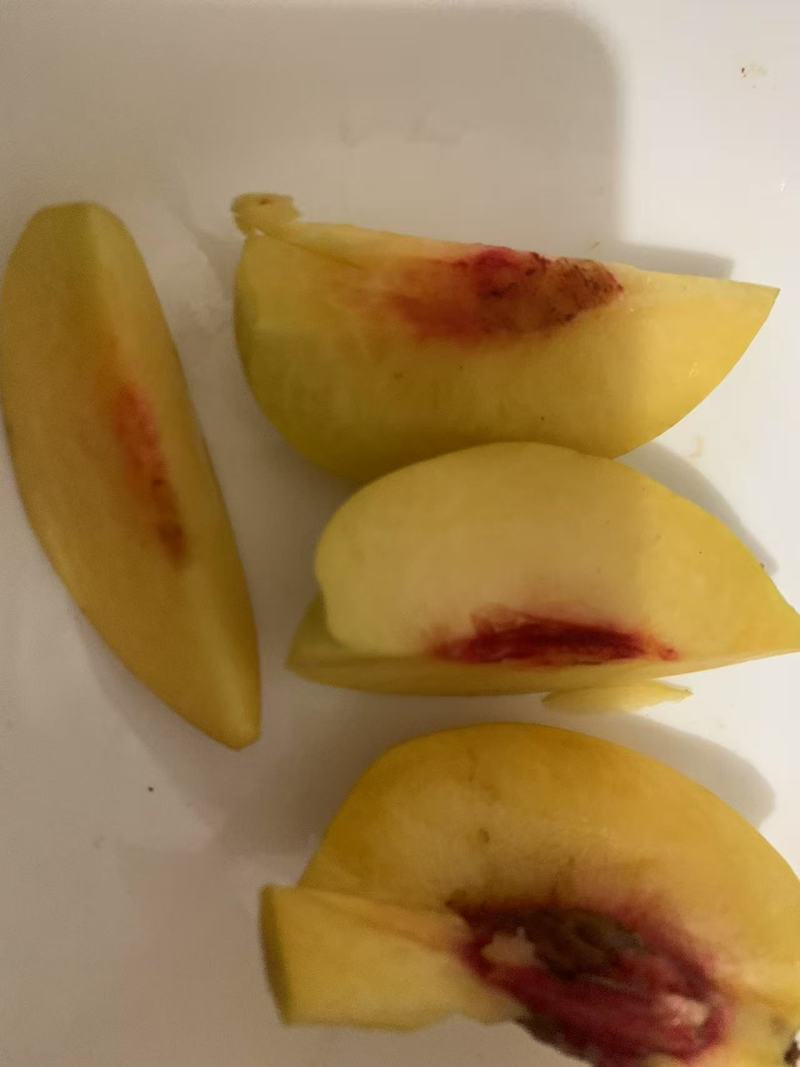 锦绣黄桃