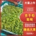 金手指葡萄各种葡萄大量上市，测糖20糖以上欢迎联系。
