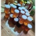 土蜂蜜/野生蜂蜜一年只取一次蜜新鲜品质优欢迎来电咨询