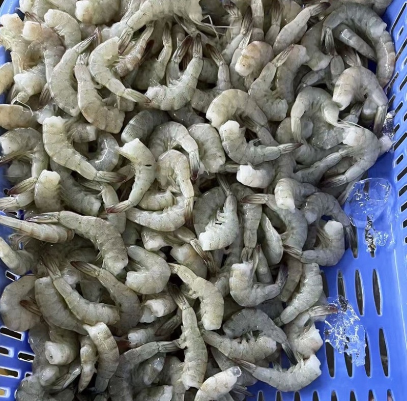 原汁无泡发虾仁新鲜片冻虾仁商用厂家批发