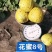 花蜜8号杂交高糖甜瓜种子豹点黄花绿肉金黄大果甜瓜香瓜种籽