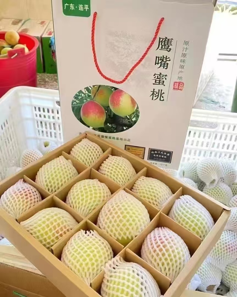 鹰嘴桃