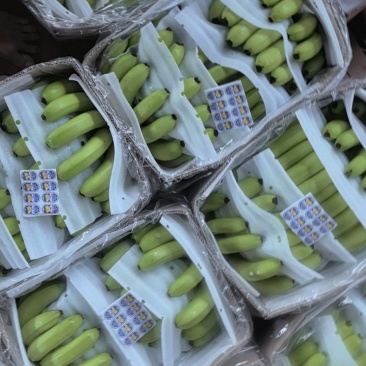 精品香蕉