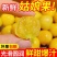 黄姑娘果，东北产地供应，保质保量，可视频看货采购