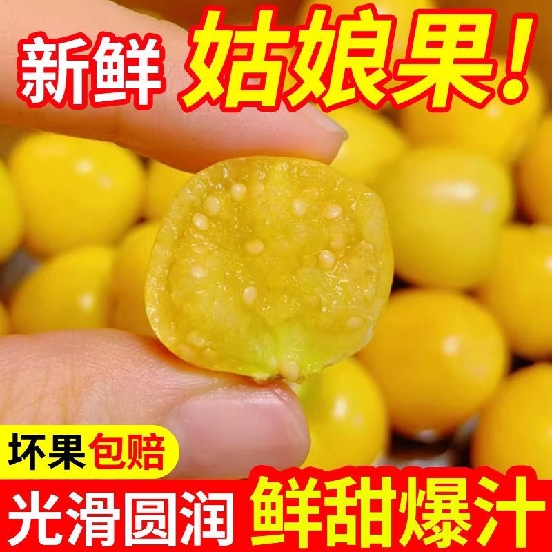 黄姑娘果，东北产地供应，保质保量，可视频看货采购