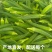 秋葵，优质秋葵，电商货