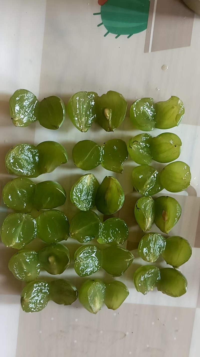 无核巨峰青葡萄