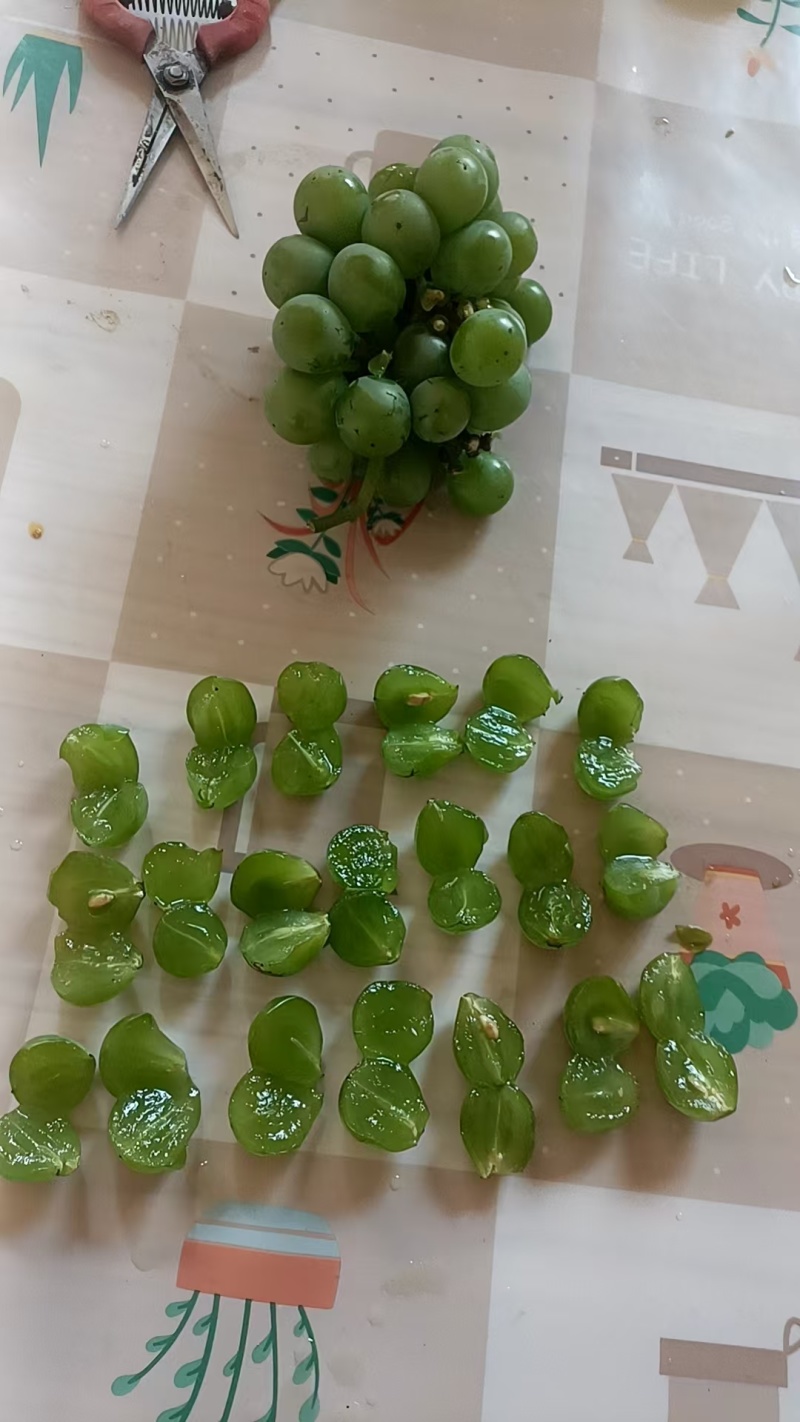 无核巨峰青葡萄