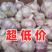 大蒜批发实力商家