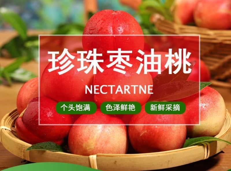 山西运城珍珠枣油桃3号白心红核产地直发量大从优