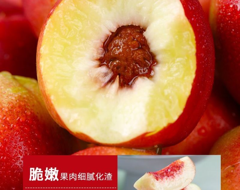 山西运城珍珠枣油桃3号白心红核产地直发量大从优