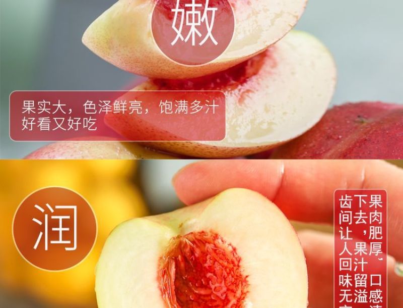 山西运城珍珠枣油桃3号白心红核产地直发量大从优