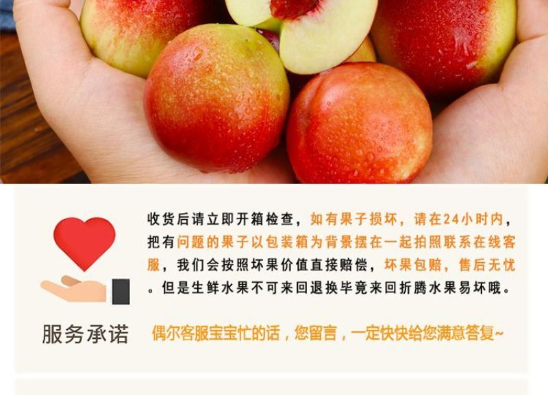 山西运城珍珠枣油桃3号白心红核产地直发量大从优