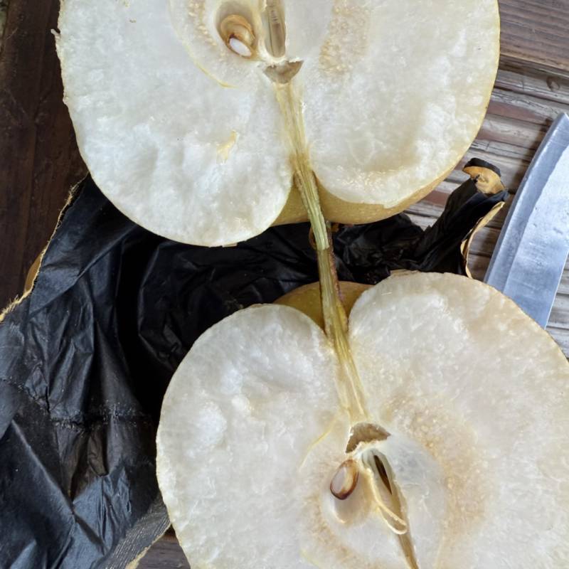 园黄梨个头大，口感甜，细嫩